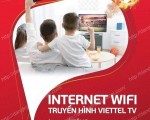 Viettel Nhà Bè / Thiết bị giám sát hành trình